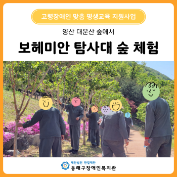보헤미안 탐사대 숲 체험 이미지