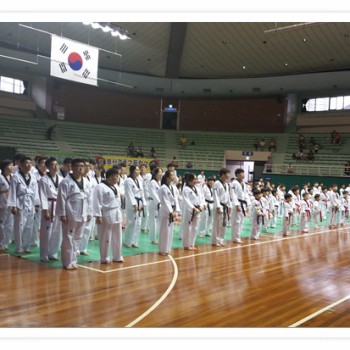 제1회 체육도장태권도협동조합 이사장배 전국품새대회 참가 (8.24) 이미지