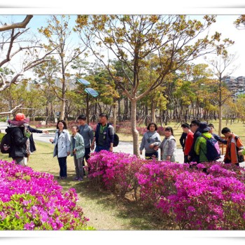 주간보호 사회적응지원 지역사회시설 이용-숲체험 (2018.04.12) 이미지
